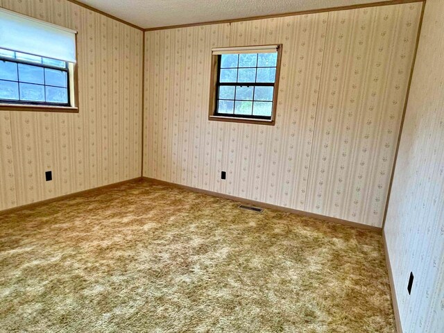 138 Keylon Hollow Rd, Ten Mile, TN 37880 - photo 45