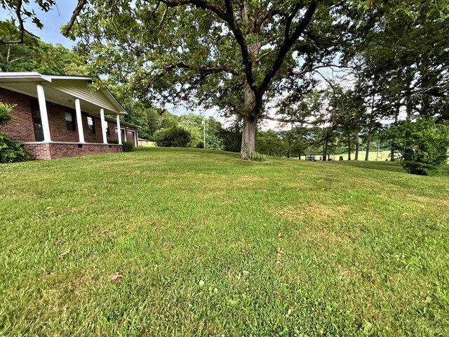 138 Keylon Hollow Rd, Ten Mile, TN 37880 - photo 12