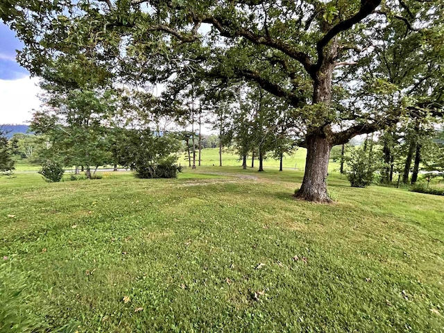 138 Keylon Hollow Rd, Ten Mile, TN 37880 - photo 23