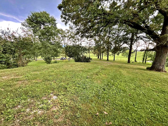 138 Keylon Hollow Rd, Ten Mile, TN 37880 - photo 27
