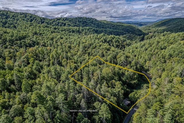 1872 Childers Creek Rd, Reliance TN, 37369 land for sale