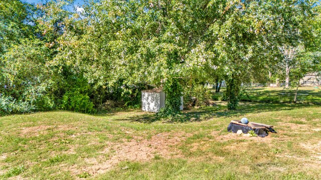 view of yard with a storage unit