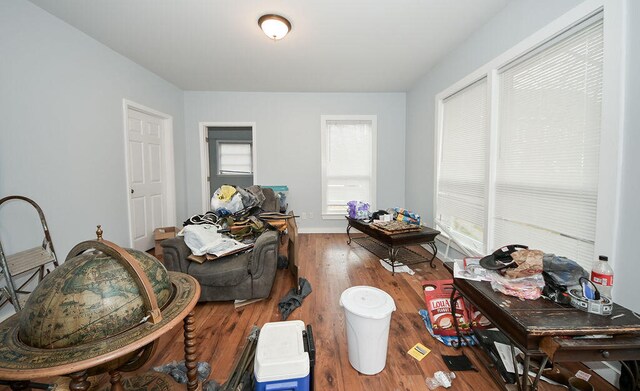 interior space featuring hardwood / wood-style floors