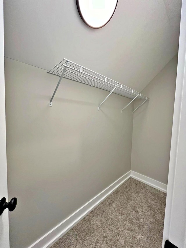 walk in closet with carpet flooring