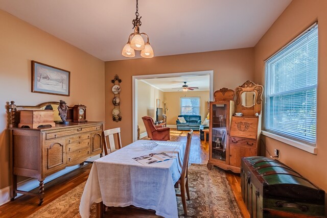 dining room with ceiling fan with notable chandelier and dark wood-type flooring