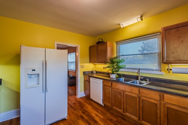 kitchen featuring dark wood-type flooring, sink, a healthy amount of sunlight, and white appliances