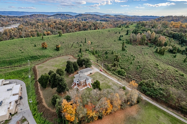 birds eye view of property with a mountain view and a rural view