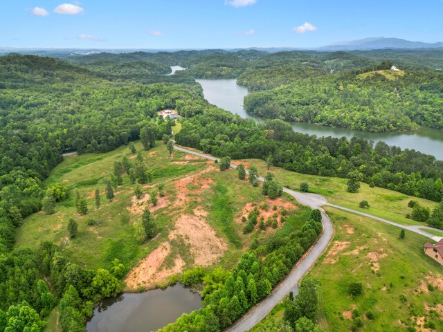 LOT8 Shiners Bluff Dr, Madisonville, TN 37354 - photo 14