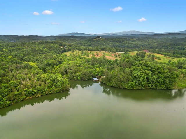 LOT8 Shiners Bluff Dr, Madisonville, TN 37354 - photo 21