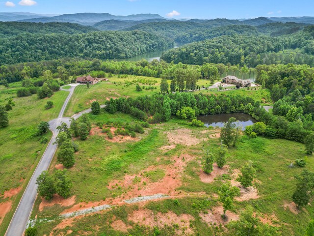 LOT8 Shiners Bluff Dr, Madisonville, TN 37354 - photo 13