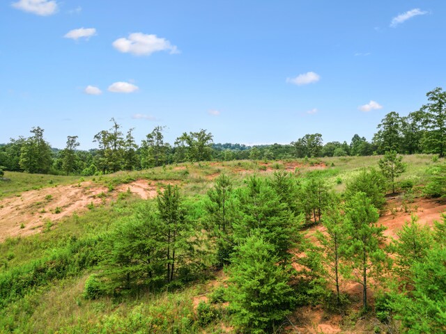 LOT8 Shiners Bluff Dr, Madisonville, TN 37354 - photo 25