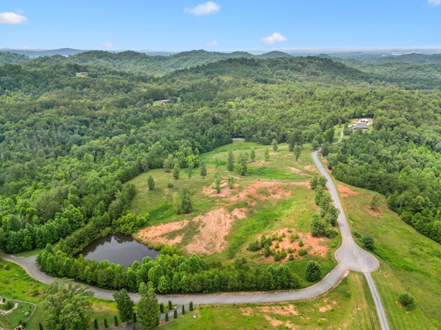 LOT8 Shiners Bluff Dr, Madisonville, TN 37354 - photo 15