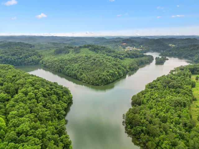 LOT8 Shiners Bluff Dr, Madisonville, TN 37354 - photo 19