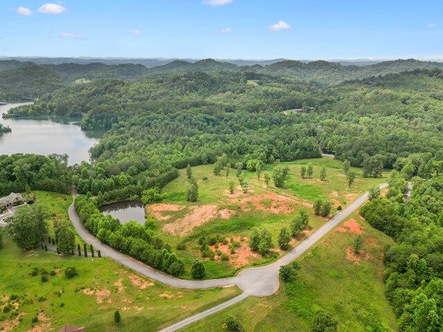 LOT8 Shiners Bluff Dr, Madisonville, TN 37354 - photo 16