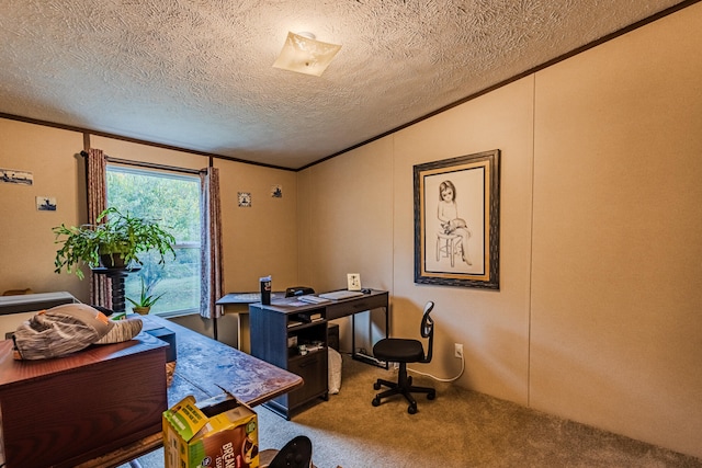 office featuring a textured ceiling, carpet, and crown molding