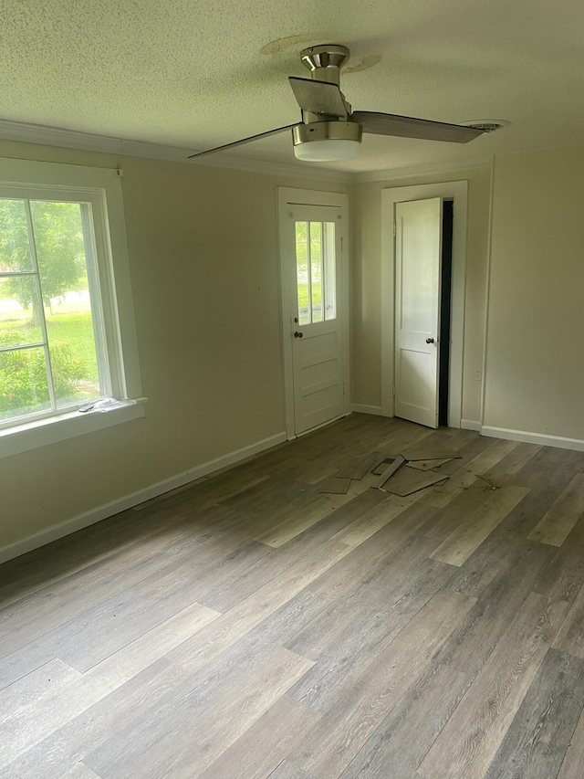2320 Raines Dr NW, Cleveland, TN 37311 - unfurnished room with a ceiling fan, wood finished floors, and a textured ceiling
