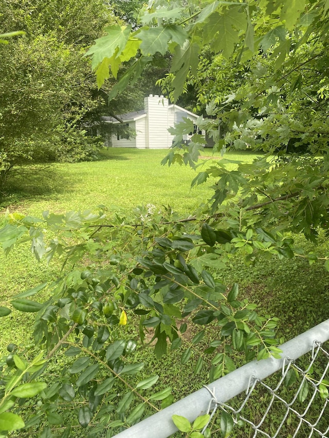 2320 Raines Dr NW, Cleveland, TN 37311 - view of green lawn