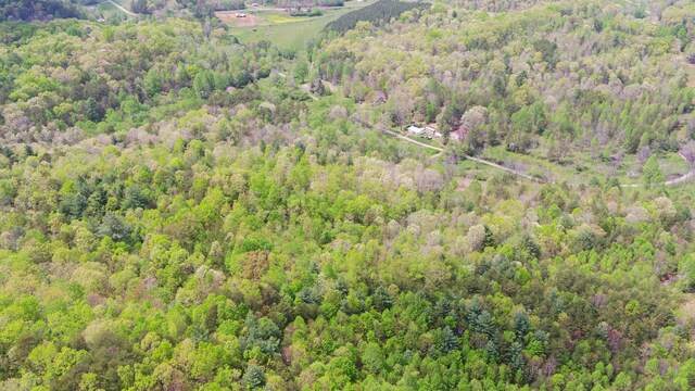 385 Elrod Cir, Turtletown, TN 37391