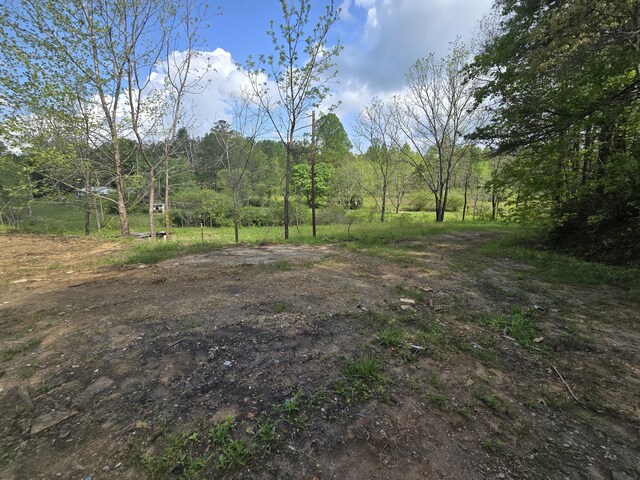 385 Elrod Cir, Turtletown, TN 37391
