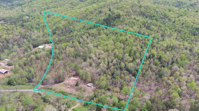 385 Elrod Cir, Turtletown, TN 37391