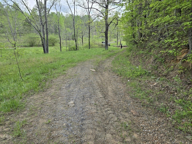 385 Elrod Cir, Turtletown, TN 37391