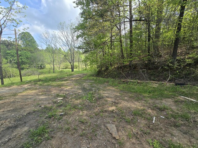 385 Elrod Cir, Turtletown, TN 37391