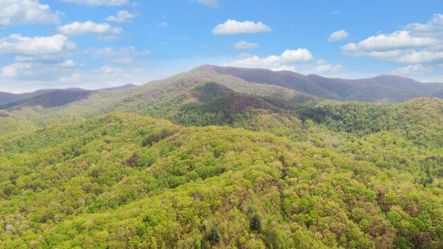 385 Elrod Cir, Turtletown, TN 37391