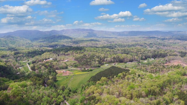 385 Elrod Cir, Turtletown, TN 37391