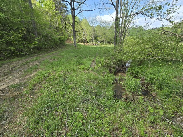 385 Elrod Cir, Turtletown, TN 37391