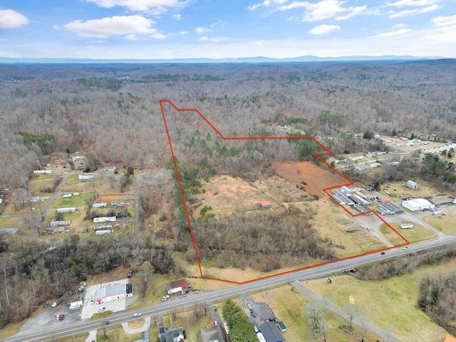 0 State Highway 58 S, Decatur TN, 37322 land for sale