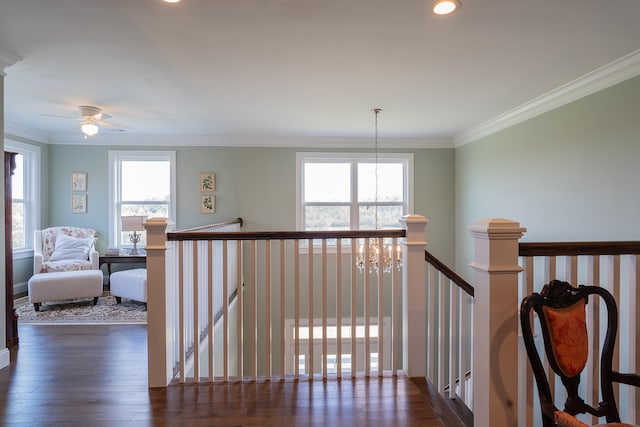 hall featuring dark hardwood / wood-style flooring, an inviting chandelier, a wealth of natural light, and ornamental molding