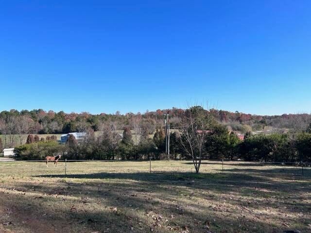 view of yard with a rural view