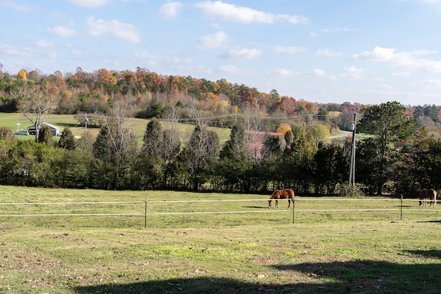 view of yard with a rural view