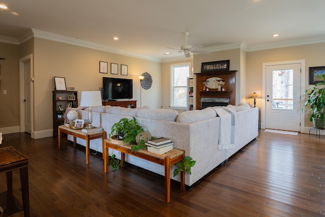 living room featuring a healthy amount of sunlight, dark hardwood / wood-style floors, and ornamental molding