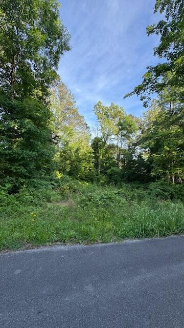 00 Joel Dr SW, Cleveland, TN 37311 - photo 2