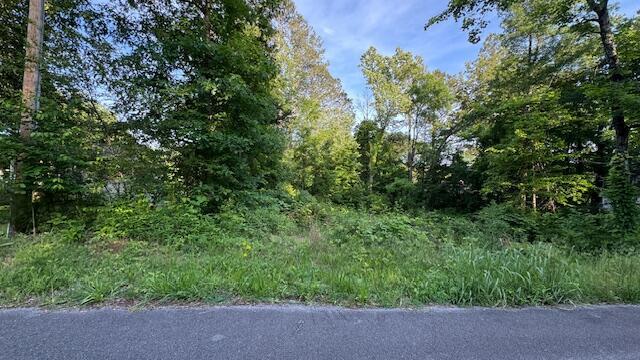 00 Joel Dr SW, Cleveland, TN 37311 - photo 3