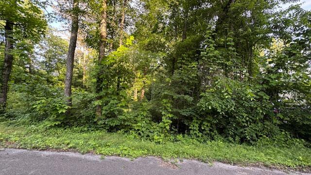 00 Joel Dr SW, Cleveland, TN 37311 - photo 5