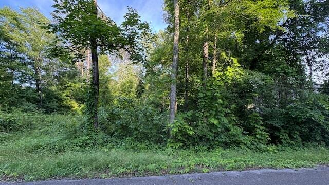 00 Joel Dr SW, Cleveland, TN 37311 - photo 4