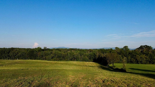 953 SE Cedar Springs Rd, Cleveland, TN 37323 - photo 2