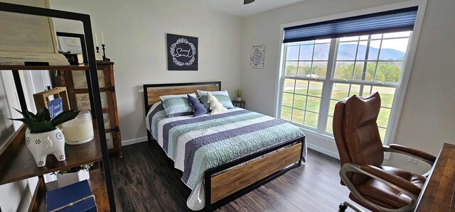 bedroom with dark hardwood / wood-style floors