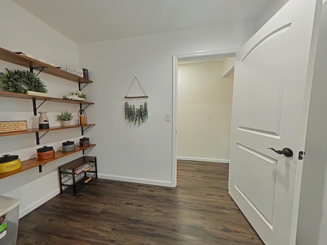 interior space with dark hardwood / wood-style floors