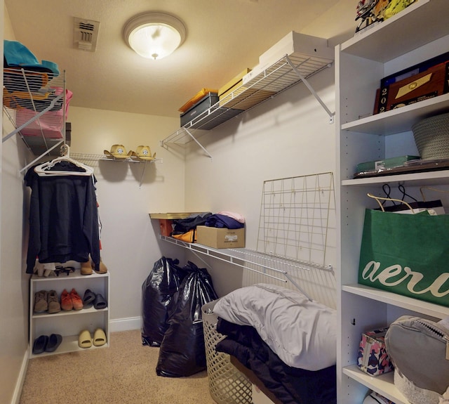 101 NW Amherst Way, Cleveland, TN 37312 - spacious closet featuring carpet flooring