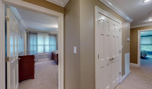 101 NW Amherst Way, Cleveland, TN 37312 - hallway featuring carpet, ornamental molding, and plenty of natural light