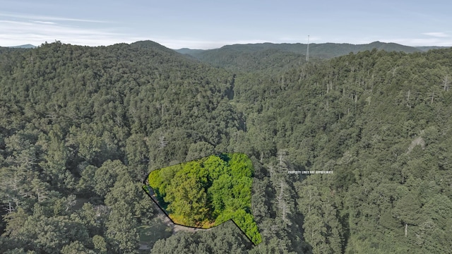 105 Hicks Adams Dr, Reliance, TN 37369 - photo 28