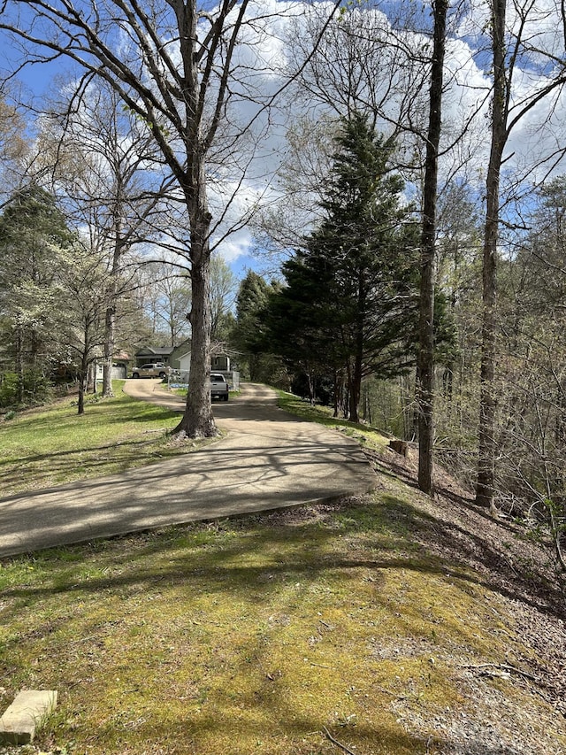 105 Hicks Adams Dr, Reliance, TN 37369 - view of road