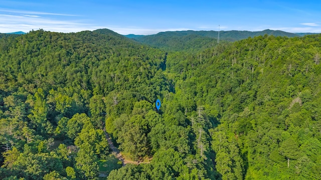 105 Hicks Adams Dr, Reliance, TN 37369 - photo 29