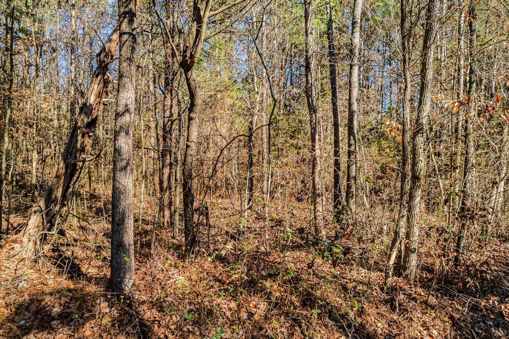 00 Baker Bridge Rd, Charleston, TN 37310 - photo 3