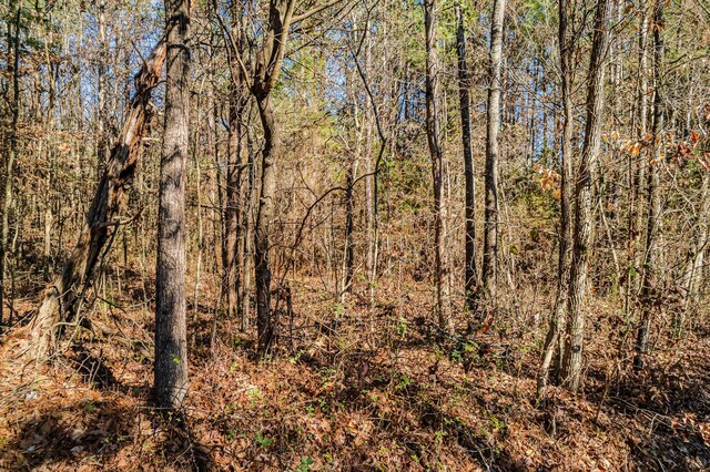 00 Baker Bridge Rd, Charleston, TN 37310 - photo 3