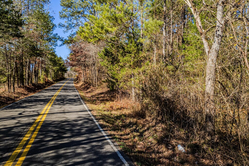 00 Baker Bridge Rd, Charleston, TN 37310 - photo 4