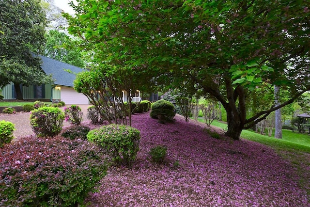 view of yard featuring a garage